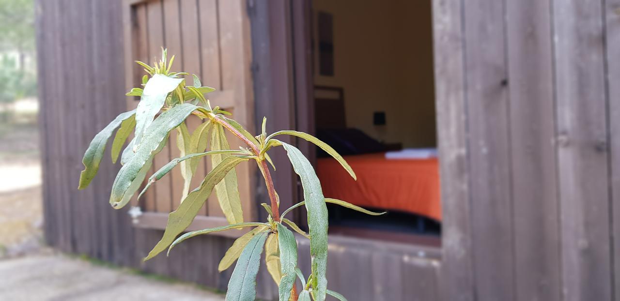 Casas Rurales Cijara Affittacamere Helechosa Esterno foto