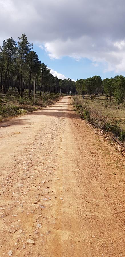 Casas Rurales Cijara Affittacamere Helechosa Esterno foto